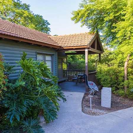 Gonen Kibbutz Country Lodging Apartment Bagian luar foto