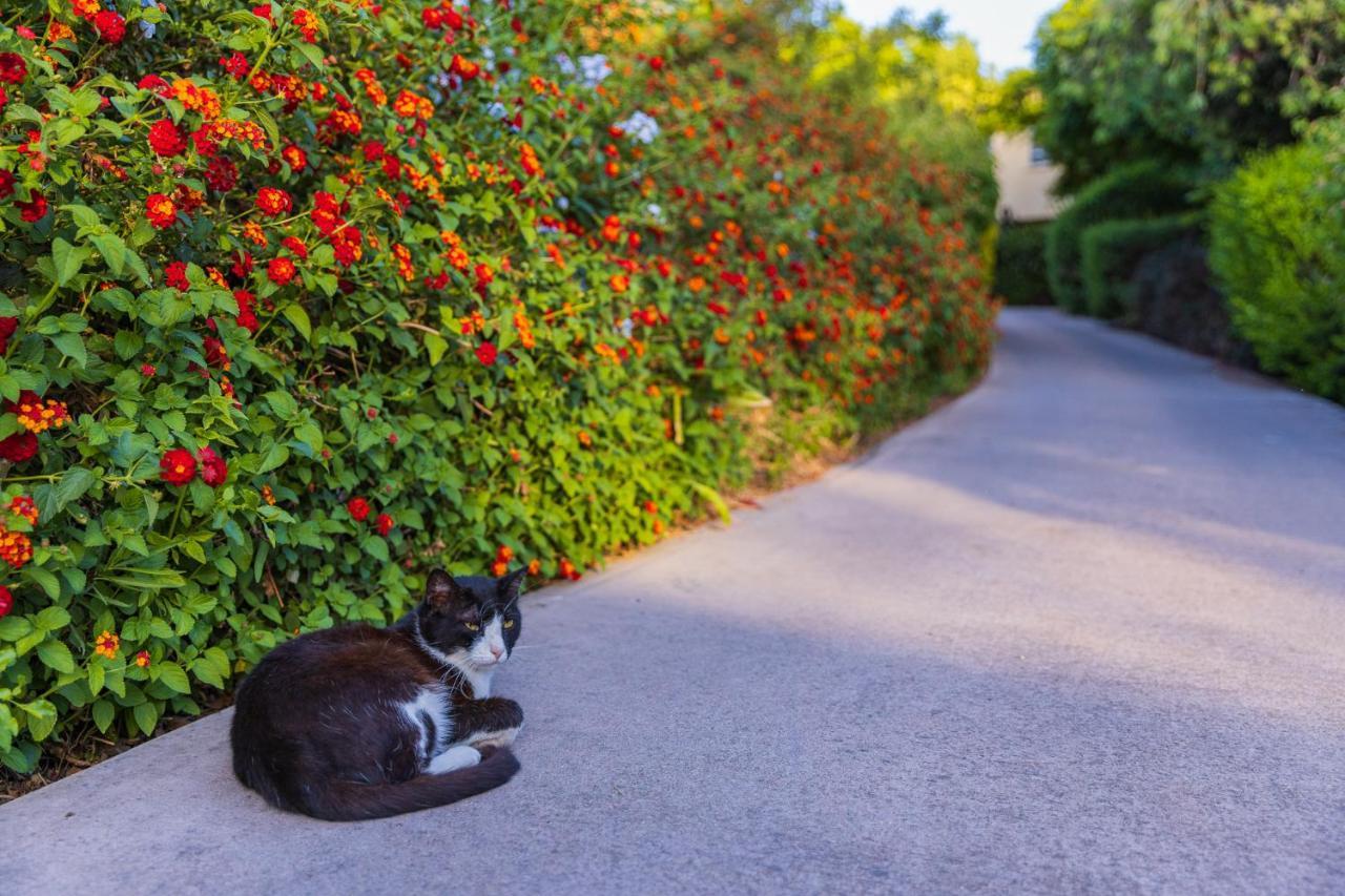 Nofey Gonen Holiday Village Bagian luar foto