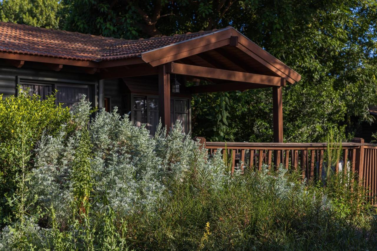 Gonen Kibbutz Country Lodging Apartment Bagian luar foto