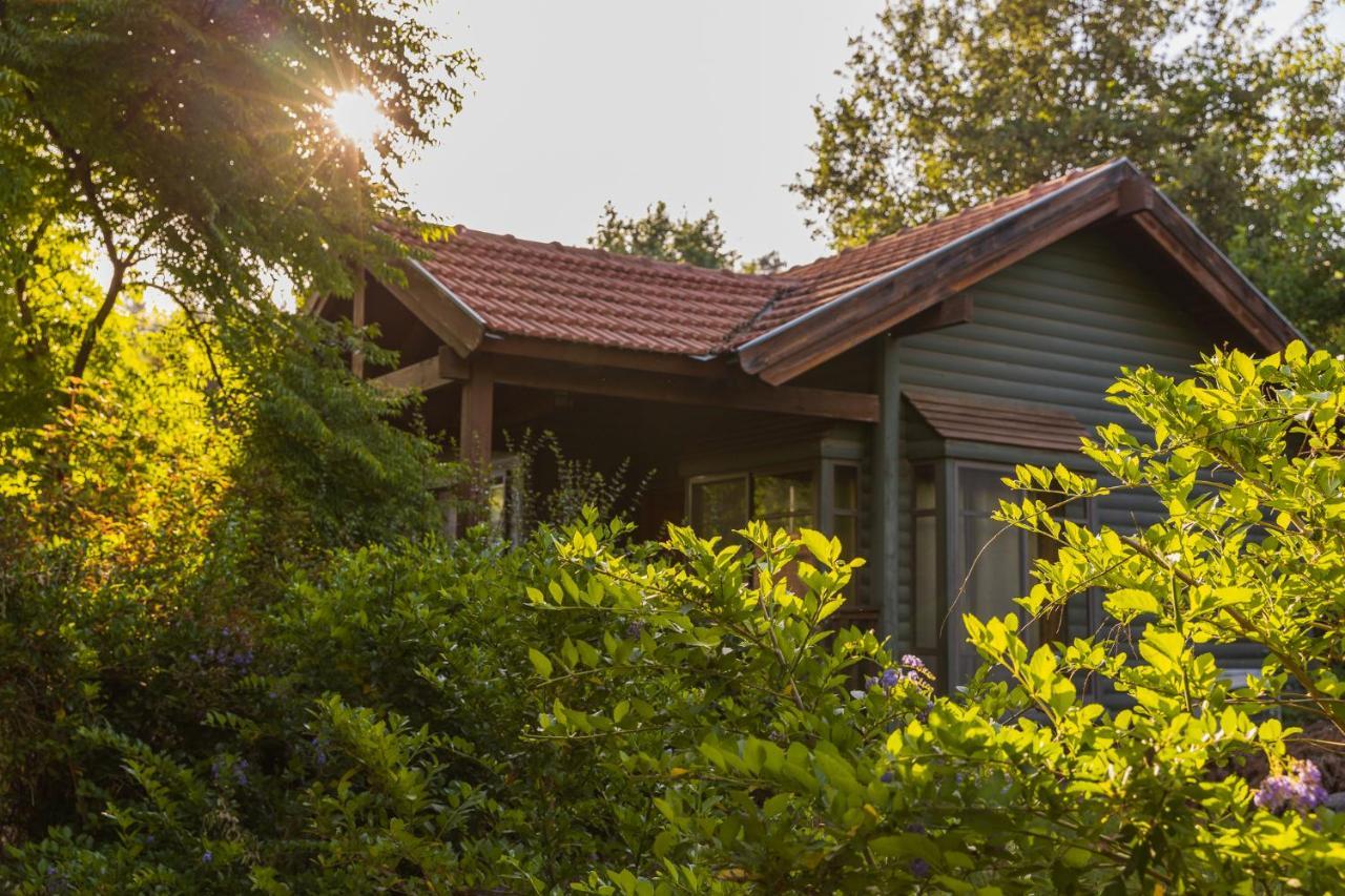 Gonen Kibbutz Country Lodging Apartment Bagian luar foto