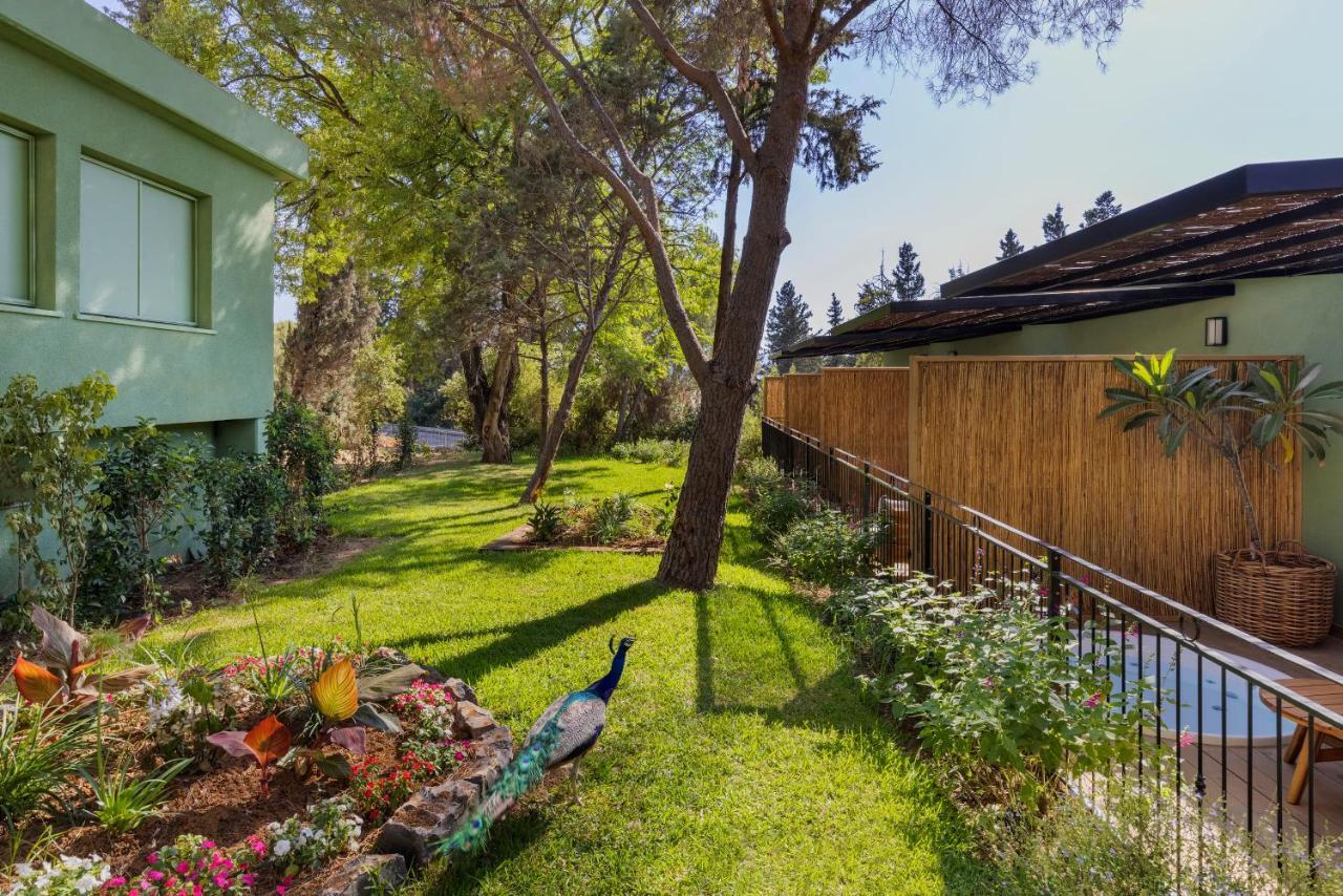 Nofey Gonen Holiday Village Bagian luar foto